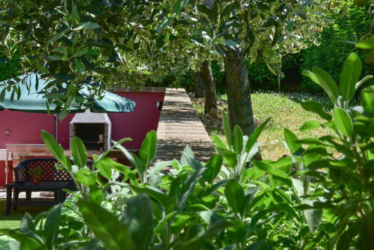 B&B Villa Passero Torricella Sicura 外观 照片